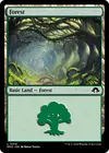 Product image for Forest