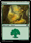 Product image for Forest