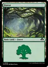 Product image for Forest