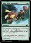 Product image for Voler dans les plumes