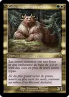 Product image for Kudo, roi parmi les ours