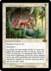 Product image for Bande d'ocelots