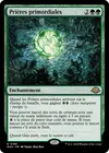 Product image for Prières primordiales