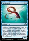 Product image for Ver de récif