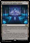 Product image for Salle forte du maître espion