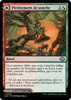 Product image for Piétinement de souche // Clairière de brûlesaules
