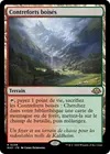 Product image for Contreforts boisés