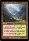 Product image for Contreforts boisés