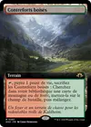 Product image for Contreforts boisés