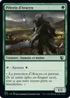 Product image for Pèlerin d'Avacyn