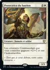 Product image for Protectrice du bastion