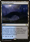 Product image for Choked Estuary