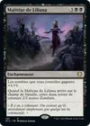 Product image for Maîtrise de Liliana