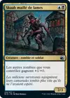 Product image for Skaab maillé de lames