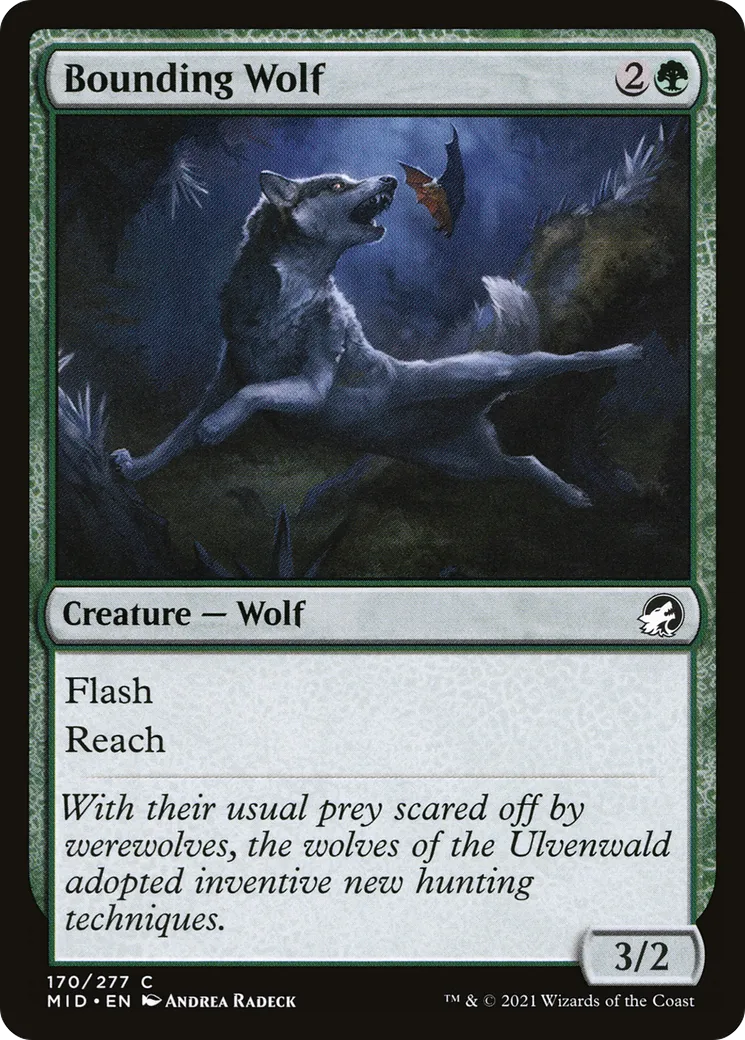 Loup bondissant — Innistrad: Midnight Hunt — Magic: The Gathering