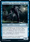 Product image for Amalgame du cimetière marin