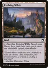 Product image for Evolving Wilds