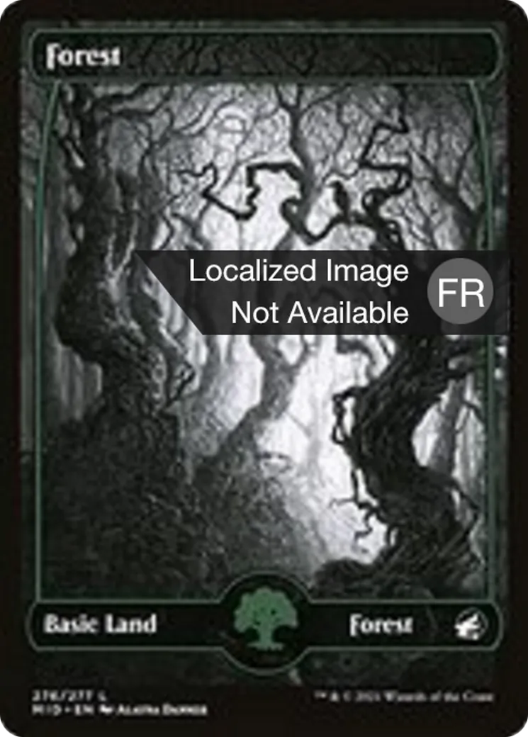 Forêt — Innistrad: Midnight Hunt — Magic: The Gathering