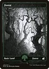 Product image for Forest