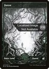 Product image for Forêt