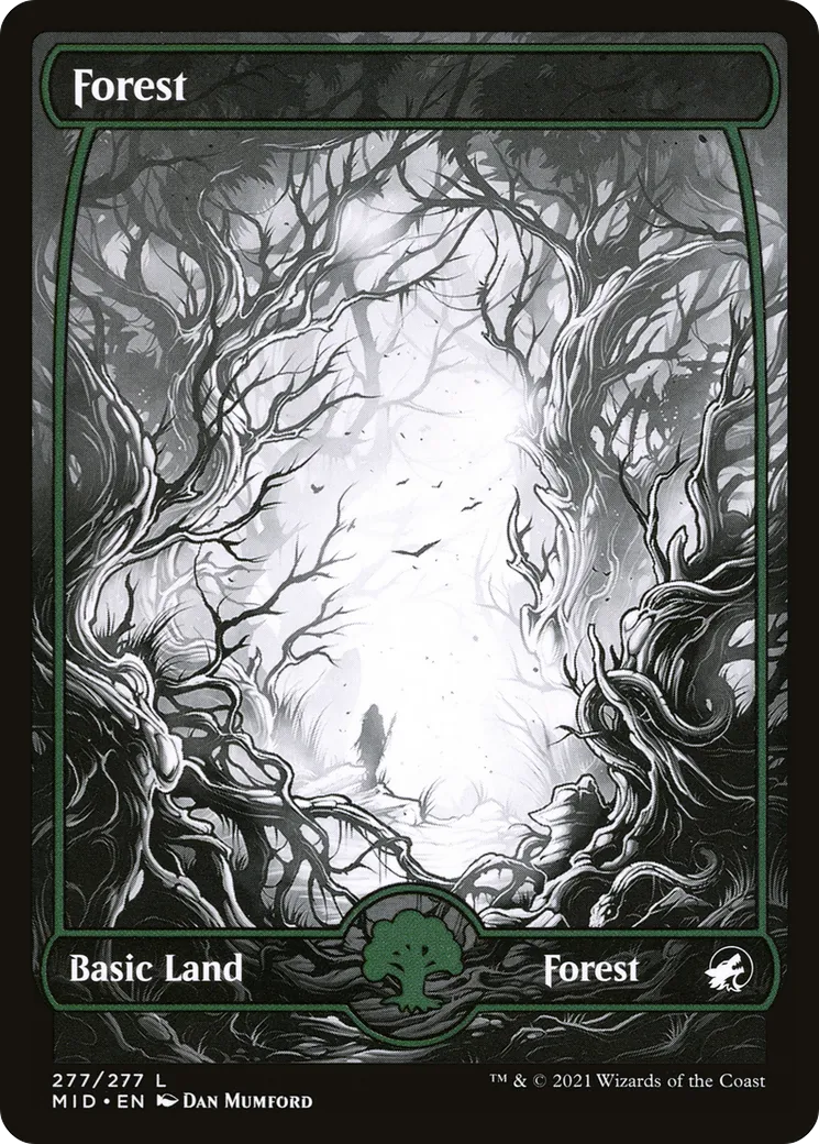 Forest — Innistrad: Midnight Hunt — Magic: The Gathering