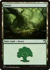 Product image for Forest