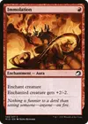 Product image for Immolation