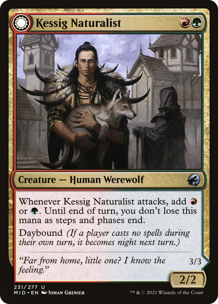 Naturaliste de Kessig // Seigneur d'Ulvenwald — Innistrad: Midnight Hunt — Magic: The Gathering