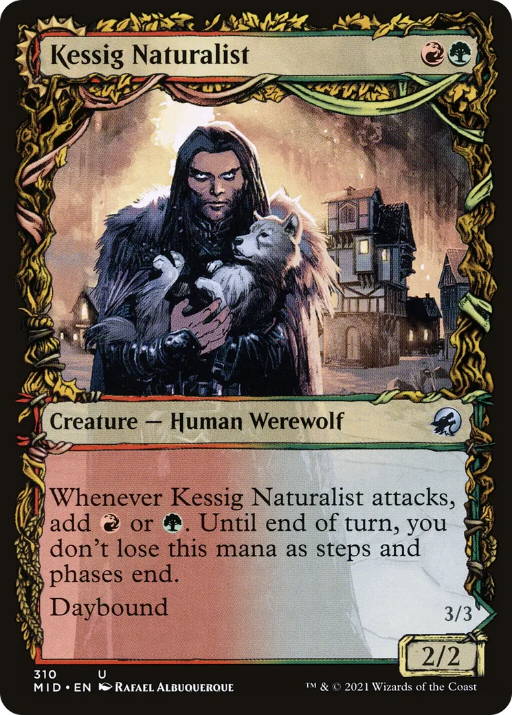 Naturaliste de Kessig // Seigneur d'Ulvenwald — Innistrad: Midnight Hunt — Magic: The Gathering