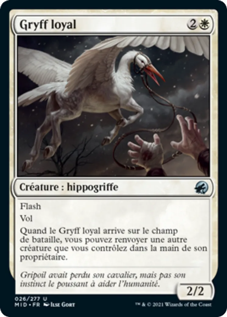 Gryff loyal — Innistrad: Midnight Hunt — Magic: The Gathering