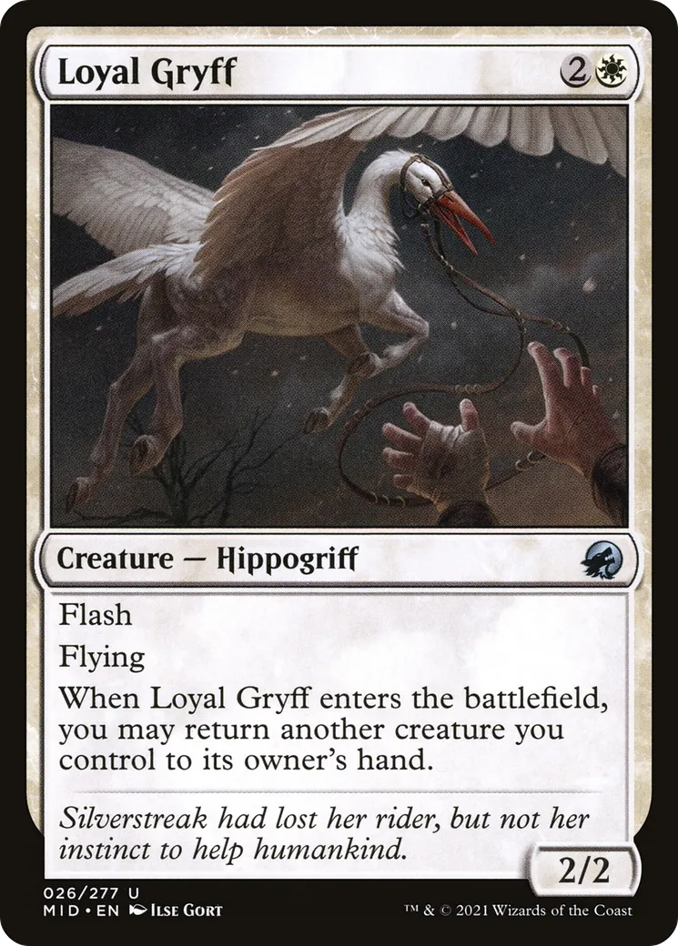 Gryff loyal — Innistrad: Midnight Hunt — Magic: The Gathering