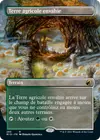 Product image for Terre agricole envahie