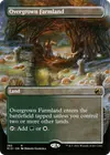 Product image for Overgrown Farmland