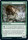 Product image for Loup pestiféré