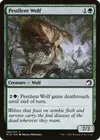 Product image for Pestilent Wolf