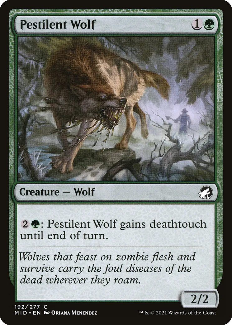 Pestilent Wolf — Innistrad: Midnight Hunt — Magic: The Gathering
