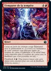Product image for S'emparer de la tempête