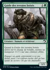 Product image for Guide des terrains boisés