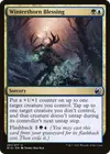 Product image for Winterthorn Blessing