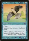 Product image for Bay Falcon