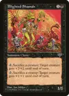 Product image for Blighted Shaman
