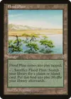 Product image for Flood Plain