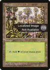 Product image for Forêt