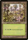 Product image for Forest