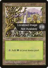 Product image for Forêt