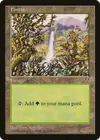 Product image for Forest