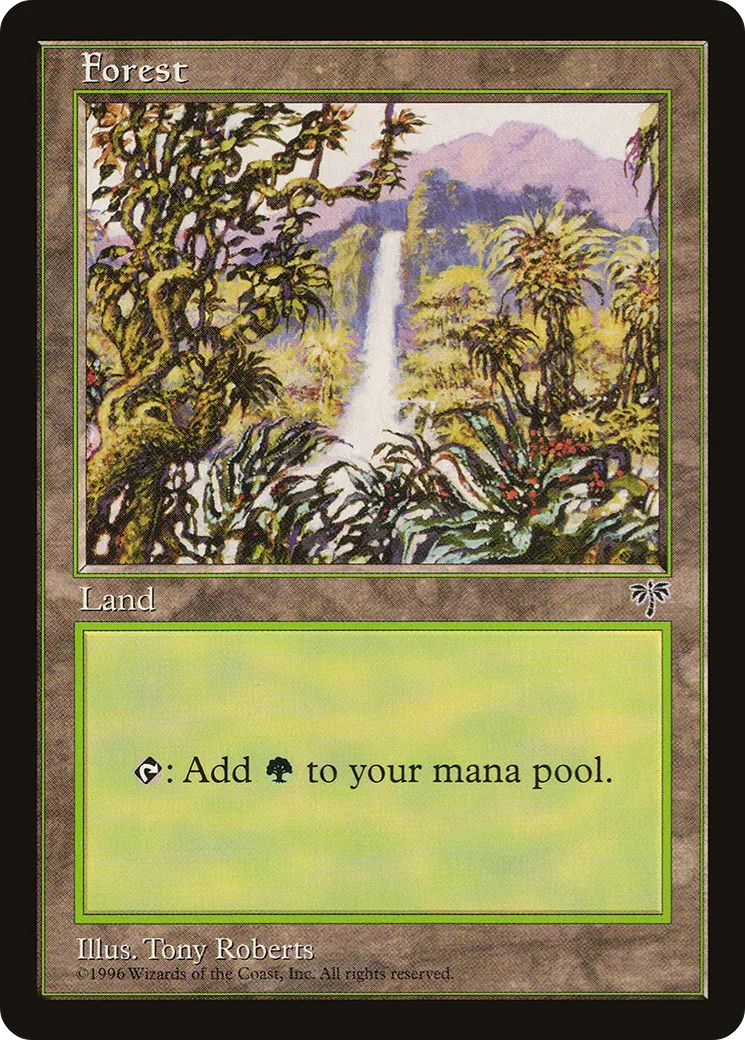 Forest — Mirage — Magic: The Gathering