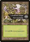 Product image for Forêt