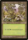 Product image for Forest