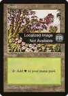 Product image for Forêt